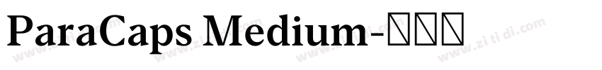 ParaCaps Medium字体转换